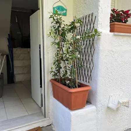 Sea View House In Halkidiki Holiday home