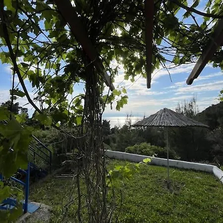 Sea View House In Halkidiki